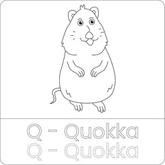 Quokka Coloring Page – Adorable Australian Animal Line Art for Kids