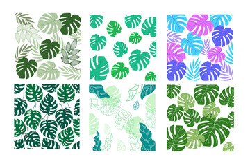 Monstera Leaf Design Element with Transparent Background