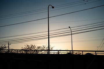夕方の光と電線