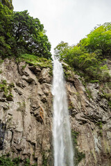 自然の中の滝