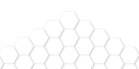 White luxury hexagons abstract background .white hexagon futuristic technology honeycomb pattern vector design .