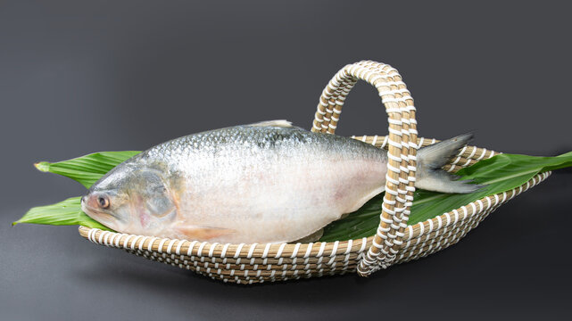 A Whole Hilsha fish in a boat-shaped handmade basket used as a gift hamper in festive occasions such as Jamai Shashthi, Pohela boishakh.