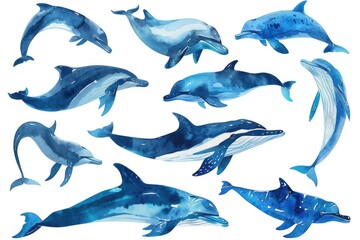 Blue dolphins swimming in the ocean, ideal for marine-themed designs
