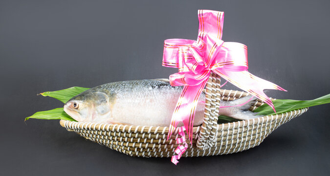 A Hilsha fish in a boat-shaped handmade busket used as a gift hamper in festive occations such as Jamai Shashthi, Pohela boishakh.