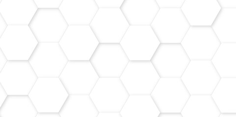 White luxury hexagons abstract background .white hexagon futuristic technology honeycomb pattern vector design .