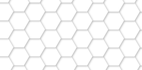 White luxury hexagons abstract background .white hexagon futuristic technology honeycomb pattern vector design .
