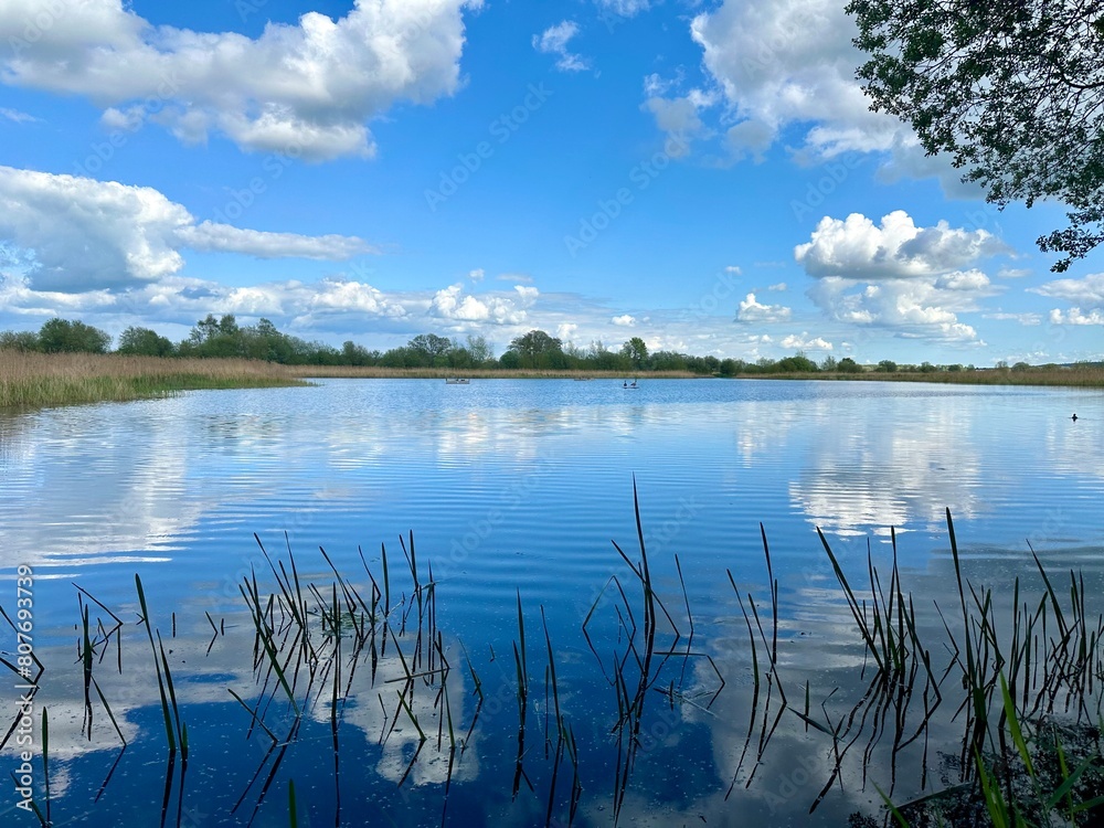 Sticker a wide open lake surrounded by tall grass and clouds in a blue sky