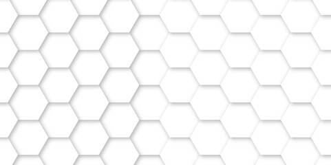 White luxury hexagons abstract background .white hexagon futuristic technology honeycomb pattern vector design .