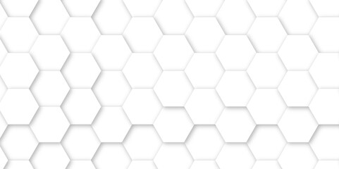 White luxury hexagons abstract background .white hexagon futuristic technology honeycomb pattern vector design .