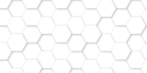 White luxury hexagons abstract background .white hexagon futuristic technology honeycomb pattern vector design .