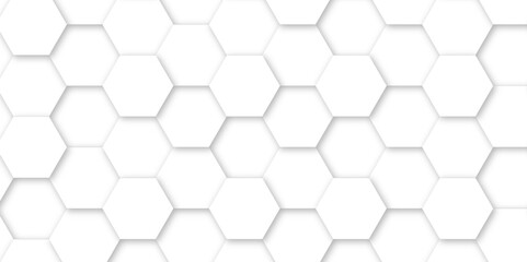 White luxury hexagons abstract background .white hexagon futuristic technology honeycomb pattern vector design .