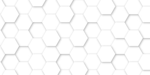 White luxury hexagons abstract background .white hexagon futuristic technology honeycomb pattern vector design .