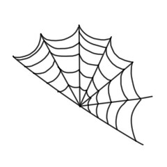 spider web line vector