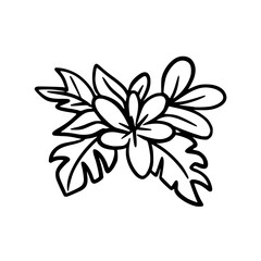 Flower. Doodle icon on white background.