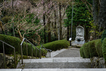 The Buddha statue that Japanese worshippers come to pay homage to, located in a public garden