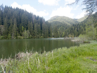 Landscape with Lacul Rosu - Red Lake, spring
A mountain lake, with tree trunks in the water....