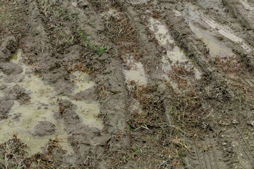 泥道に付いたタイヤの痕　Dirty country road with deep rut