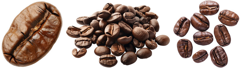 Coffee bean bundle, a single one and as a heap, isolated on a white background