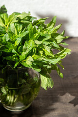 Mint green leaves, fresh summer bouquet background