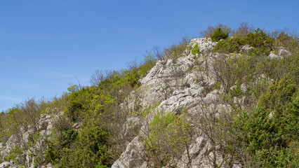 Rocky Croatian Hill Covered with Sparse Vegetation under Blue Sky | Skaliste wzgórze w Chorwacji pokryte rzadką roślinnością pod błękitnym niebem