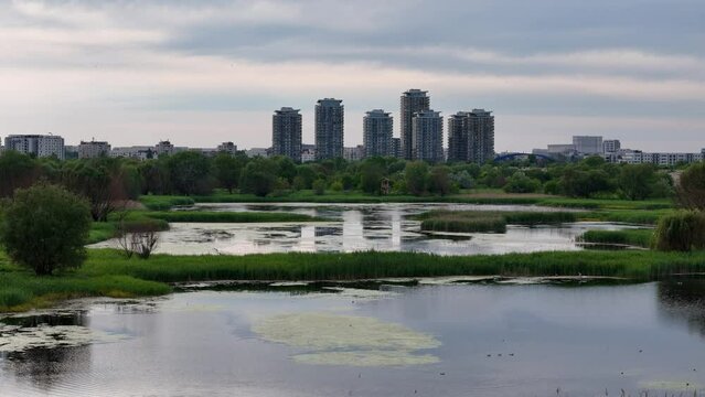Aerial View of Vacaresti Delta in Spring, Surrounded by Lush Green Vegetation, Bucharest, Romania