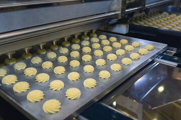 A conveyor machine pours cream onto cookies