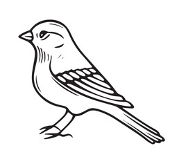 Monochrome Bird Vector Isolated Illustration