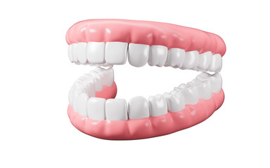 Human tooth model, white teeth, even teeth model, 3d rendering.