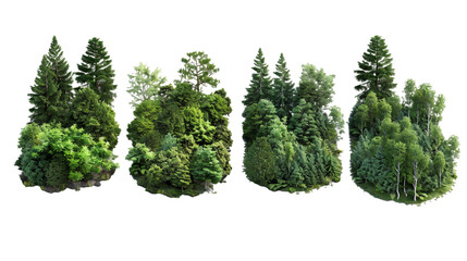 Fototapeta premium Different trees isolated on white PNG transparent background