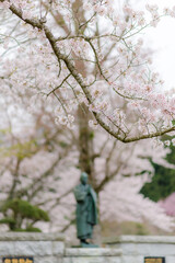 The sacred object of worship in Japan, located outdoors