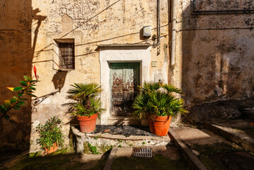 The wooden entrance door to the old house and potted palms standing at the entrance