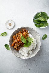 Beef ragout with white rice