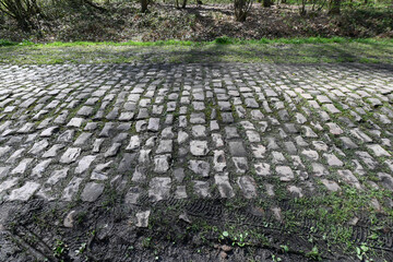 Paris Roubaix Trouée d'Aremberg pavés cycliste course velo