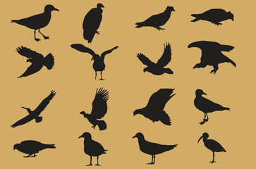 Flying and sitting different birds. Set of birds silhouettes in high resolution for designing games, poster or banner for birds feed, sale or purchase business. Editable vector eps 10 format.