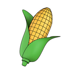 corn isolated
