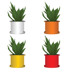 Vector 3d flower pot for office decor purpose. 
