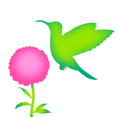 Hummingbird flying around peony flower isolated on transparent background, silhouette illustration