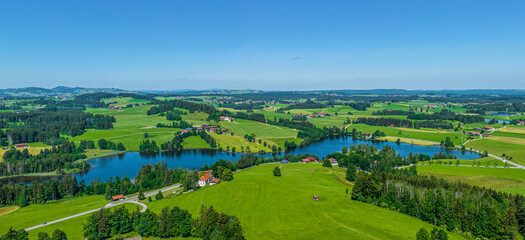 Frühsommerliche Natur im Allgäu am Schwaltenweiher nahe des Luftkurortes Seeg