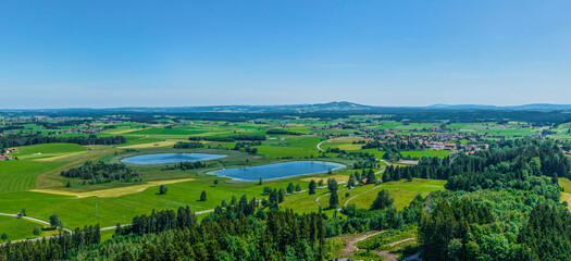 Frühsommerliche Natur im Allgäu rund um Seeg-Seeleuten