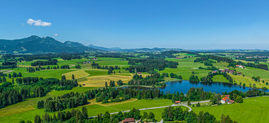 Fototapeta premium Frühsommerliche Natur im Allgäu am Schwaltenweiher nahe des Luftkurortes Seeg 