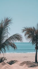 Tropical Beach with Palm Trees with blue sky , vacation concept