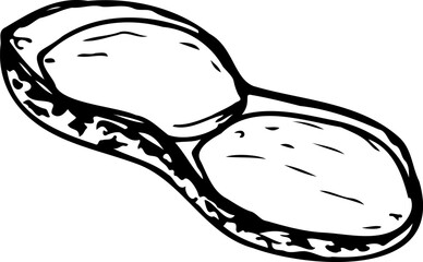 Hand drawn vector line illustration of opened peanuts isolated on a white background.