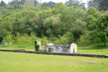 Construcción abandonada y derruida en pradera de Asturias