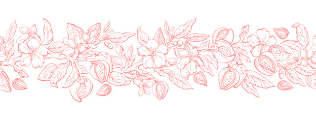 Almond tree, nuts. Floral texture frieze, pattern