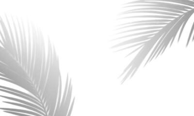 Leaves Shadow overlay effect