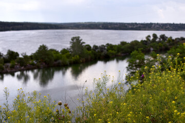 summer landscape, green trees, river, summer evening, wildflowers