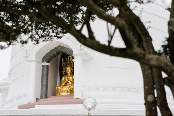 
The golden Buddha statue, adorned and revered by the Japanese, stands majestically in the white...