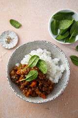Beef ragout with white rice