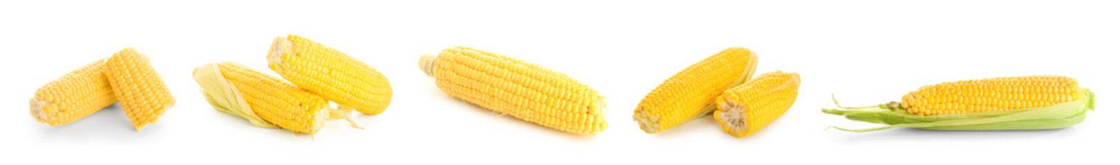 Set of ripe corn cobs on white background