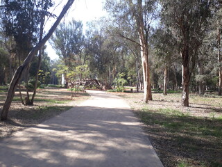 The Ibn Sina urban forest in Rabat